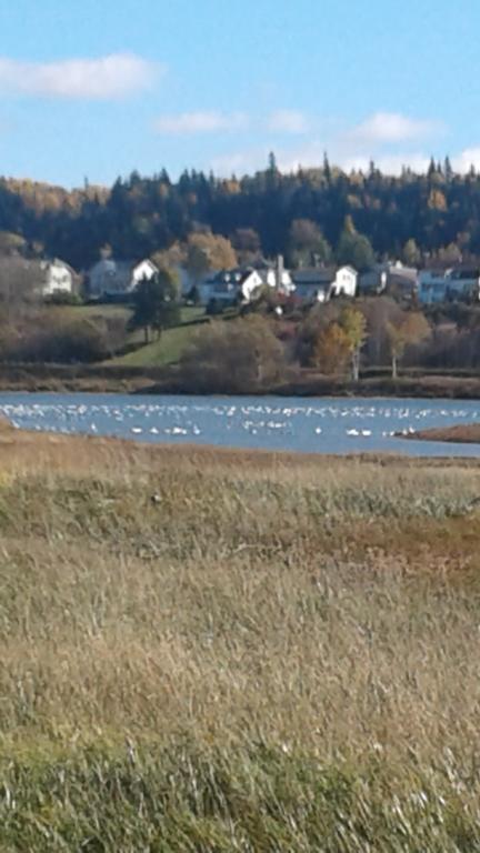 Gite Du Havre Bic Bagian luar foto